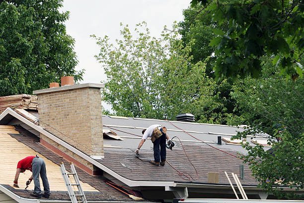 Best Roof Moss and Algae Removal  in Gerald, MO
